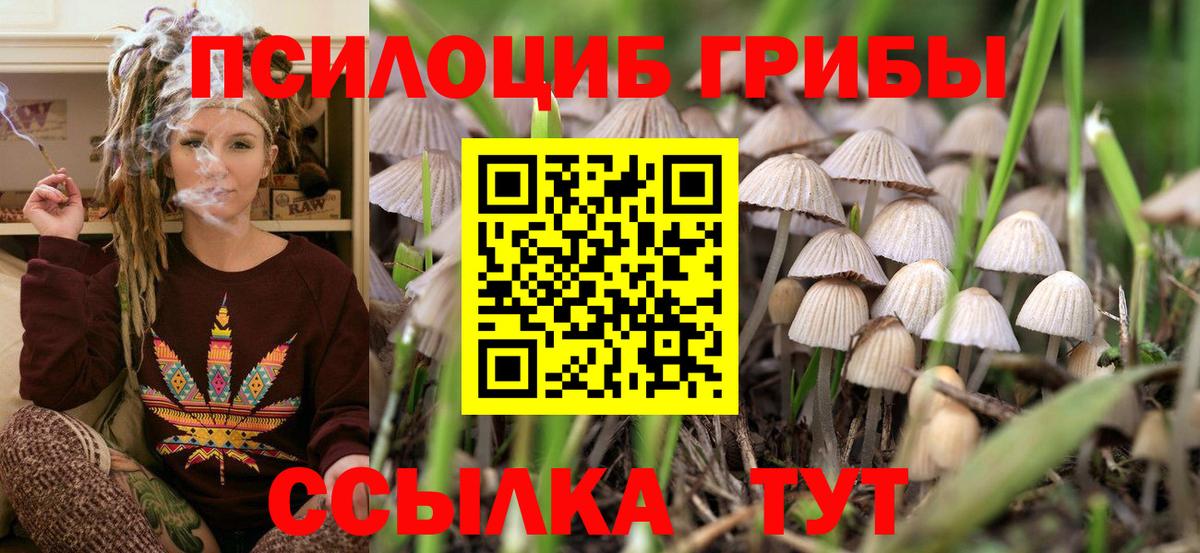 Новотроицк  Галлюциногенные грибы мухоморы  Вход с VPN 