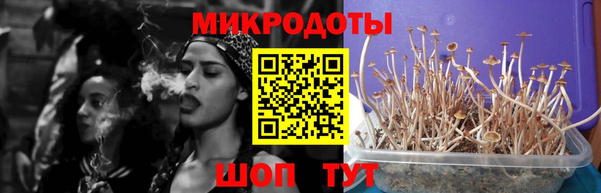 Галлюциногенные грибы MAGIC MUSHROOMS Новотроицк
