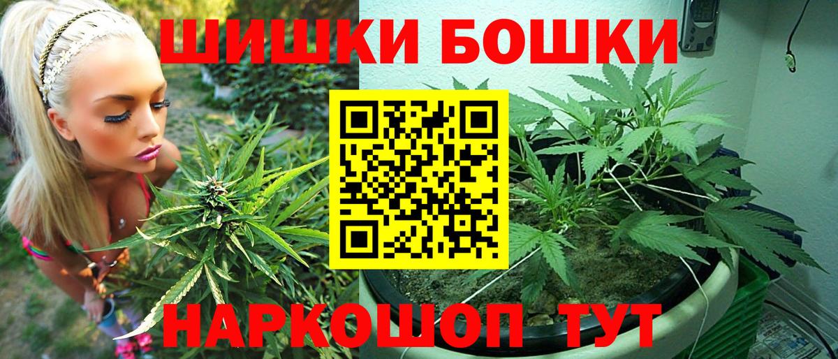 Канабис план  Каннабис ГИДРОПОН  Вход с VPN  Марихуана гибрид  Новотроицк 